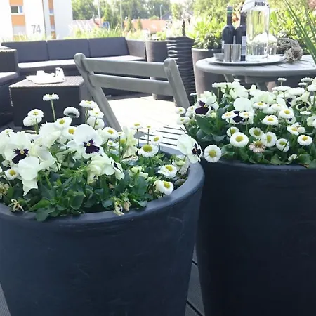 K82 Relax&work * Kirchentellinsfurt