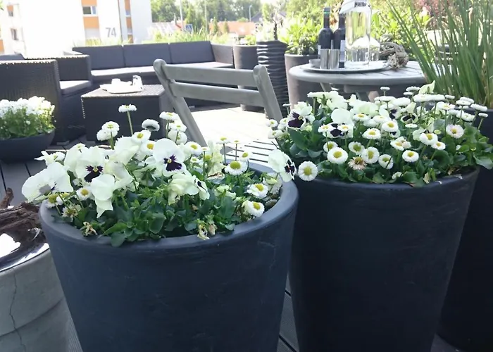 K82 Relax&work * Kirchentellinsfurt